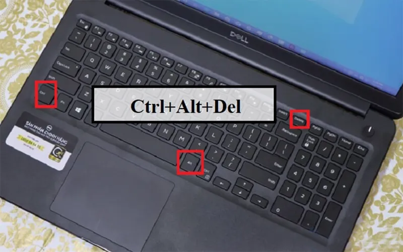 Laptop Bị Liệt Phím Ctrl